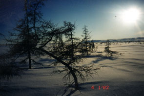 Early evening, Kaushetinati in the west. Photo courtesy Peter Armitage.