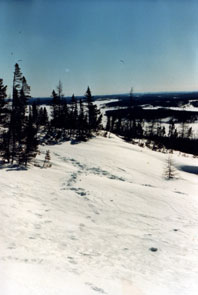 View of Kamashkushkatinau-nipi from the hill side above. Photo courtesy Camille Fouillard.