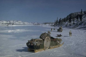 Mishtikushuss' (Georg Henriksen) komatik and dog team at Kapashkuat. Note the skis and snowshoes tied to the komatik load. Photo courtesy Georg Henriksen.