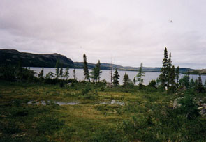 Cove on the east side of Kakassipishuniakamat. Photo courtesy Gerry Penney.