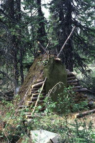 A meat cache made of logs and chinked with moss at an Innu camp at Atshiku-nipi. Photo courtesy Moira McCaffrey.