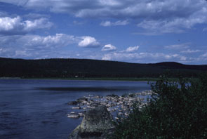 View from the shore of Utshashku-nipi. Photo courtesy Moira McCaffrey.