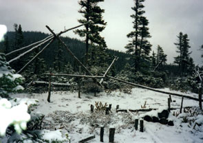 Tent poles at Ishpashtien and Taniana Benuen's camp at Mishta-nipi. Photo courtesy Gerry Penney.